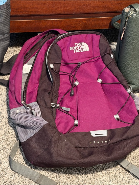 The North Face Other - The North Face Purple and Black Jester Daypack